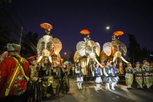 Desfile nocturno con elefantes gigantes y artistas disfrazados.